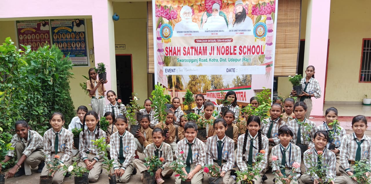 Tree Plantation By Students